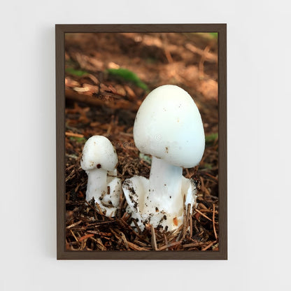 ap-destroying angel-1 cadre Bois foncé