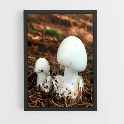 ap-destroying angel-1 cadre Noir