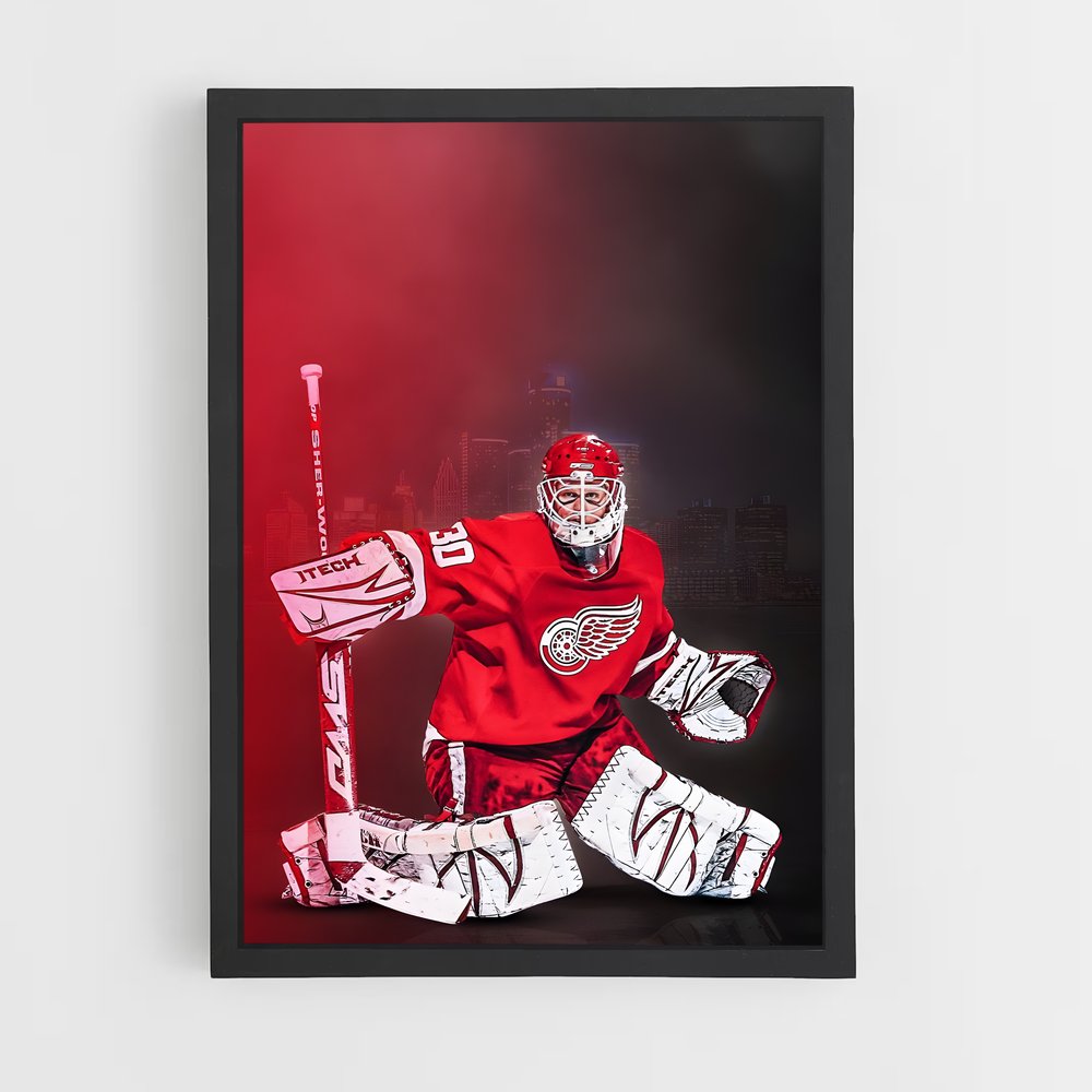 ap-detroit red wings-7 cadre Noir