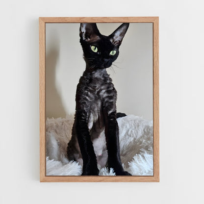 ap-devon rex-1 cadre Bois clair