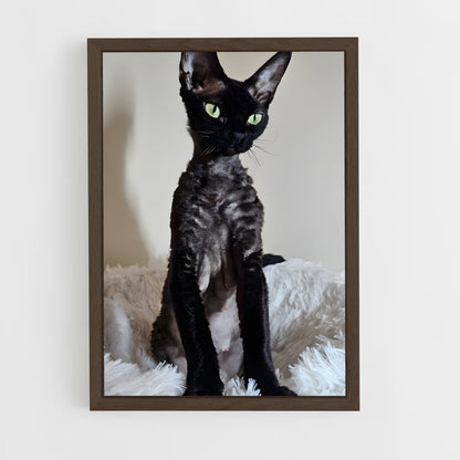 ap-devon rex-1 cadre Bois foncé