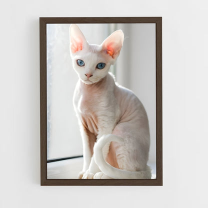 ap-devon rex-2 cadre Bois foncé