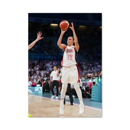 Poster Diana taurasi 59240