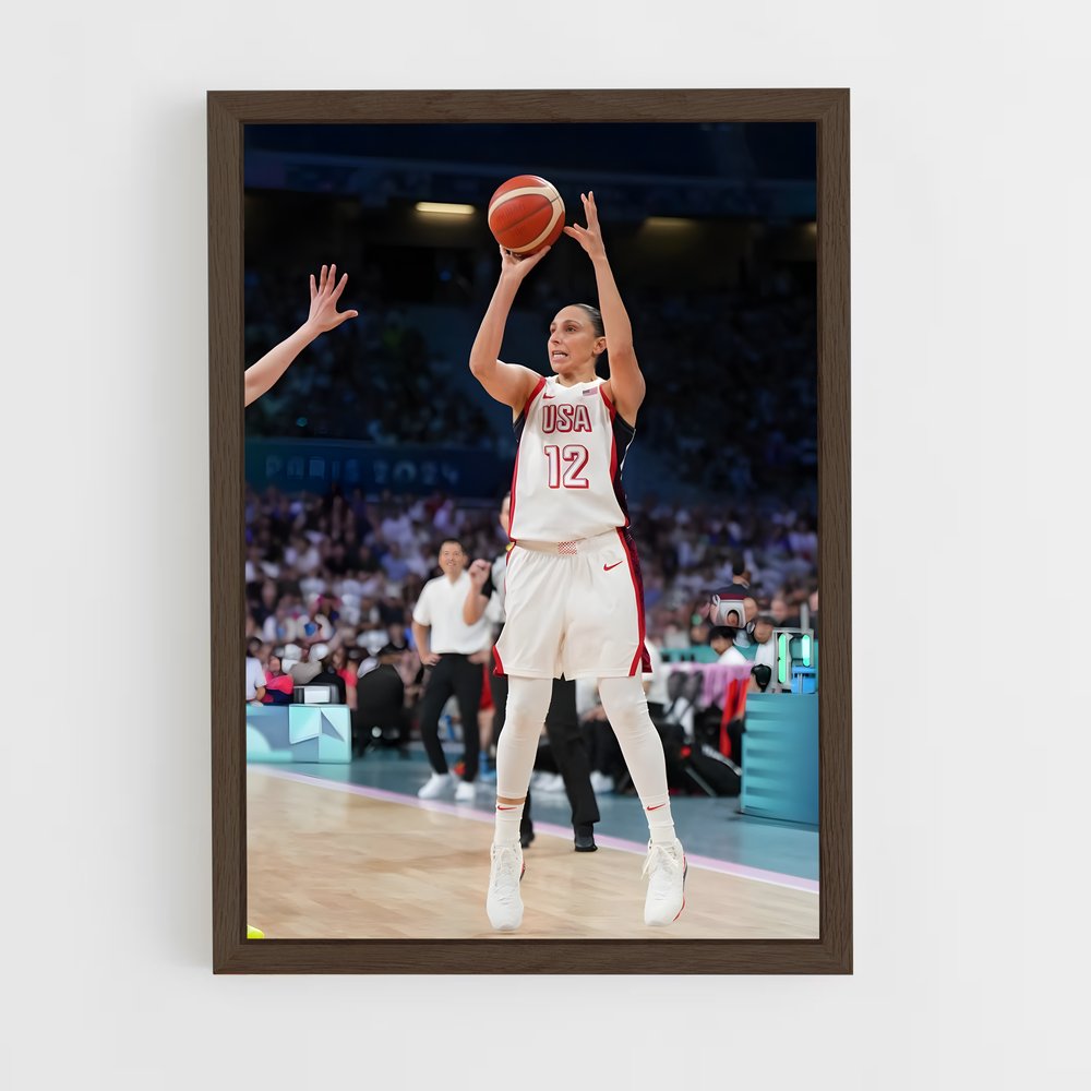 ap-diana taurasi-3 cadre Bois foncé