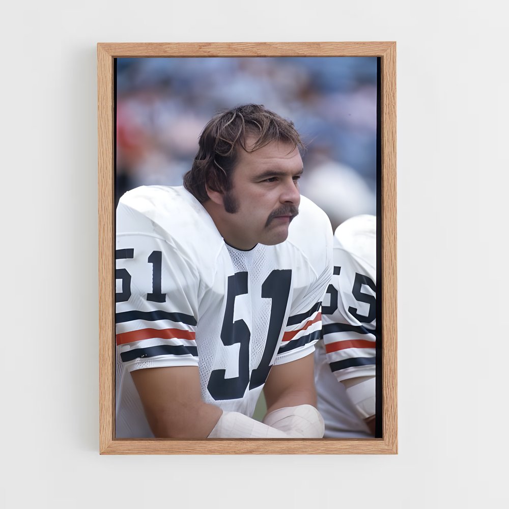 ap-dick butkus-6 cadre Bois clair