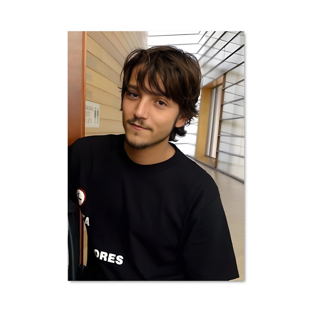 Poster L'Énigme de Diego