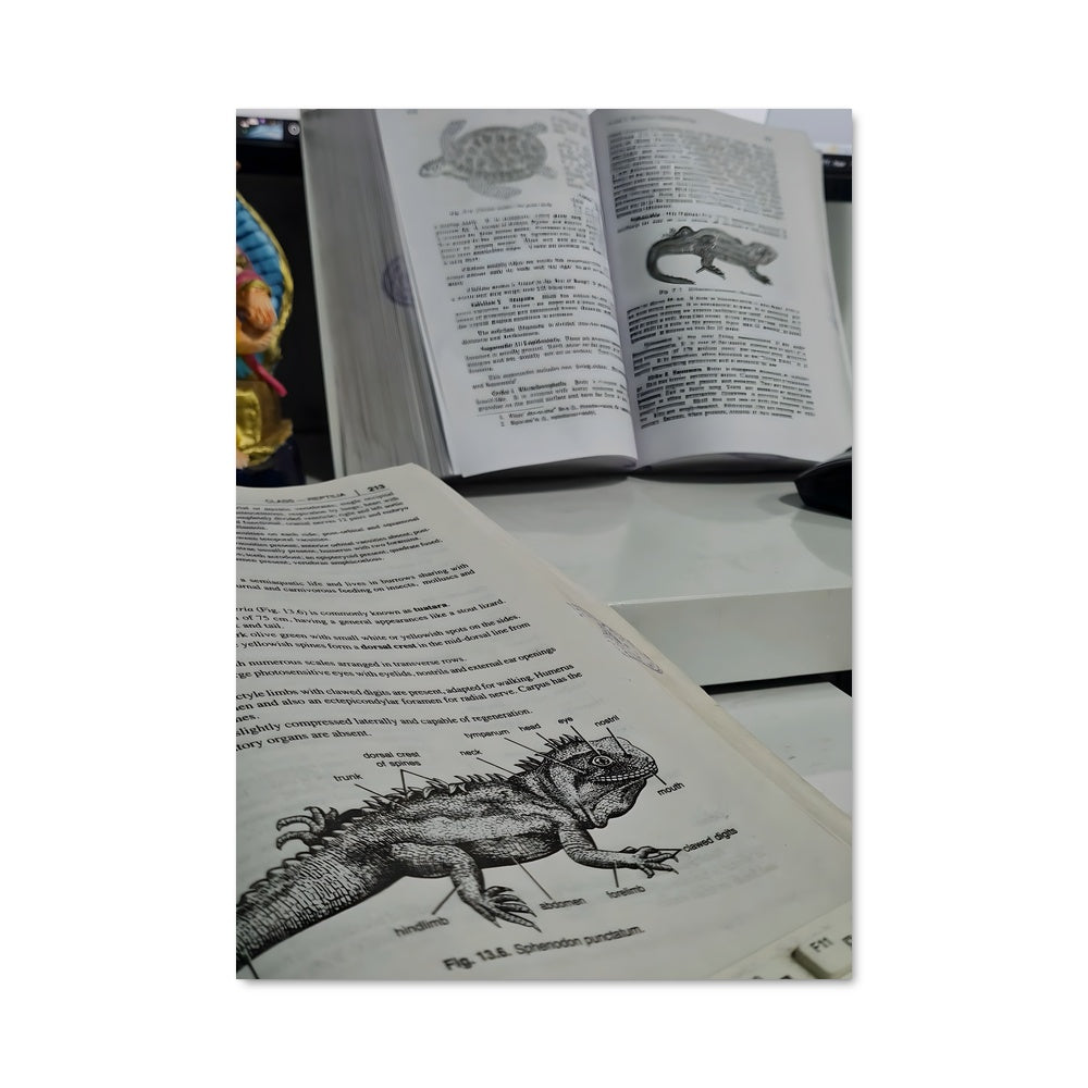 Poster Biologie Sauvage