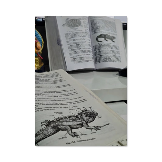 Poster Biologie Sauvage