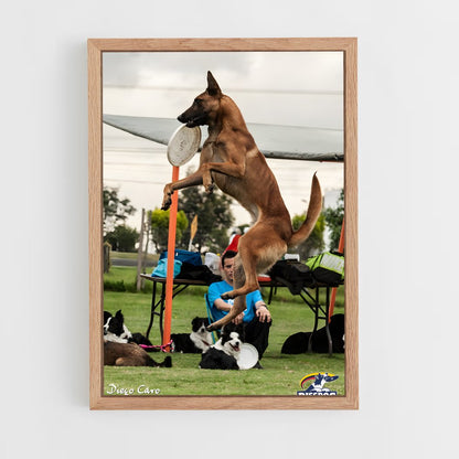 ap-disc dog world championships-1 cadre Bois clair