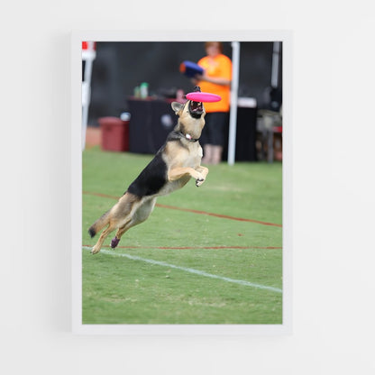 ap-disc dog world championships-2 cadre Blanc
