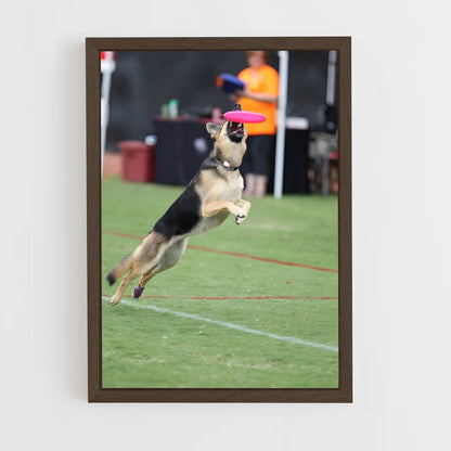 ap-disc dog world championships-2 cadre Bois foncé
