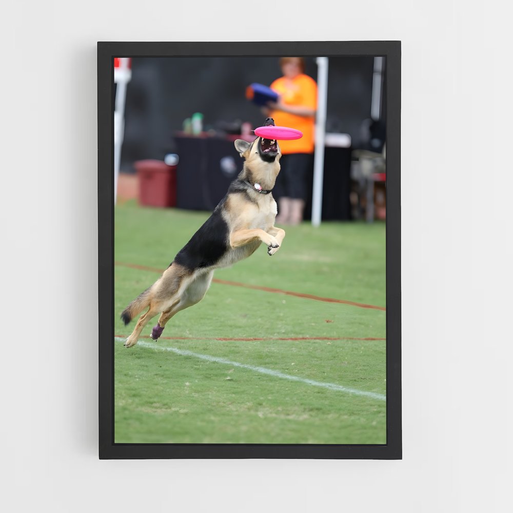 ap-disc dog world championships-2 cadre Noir
