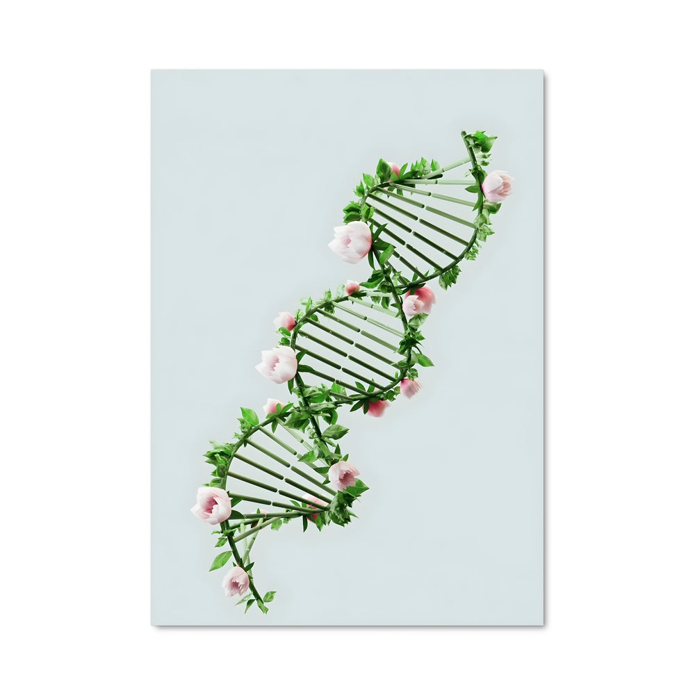 Poster Fleur de Gène
