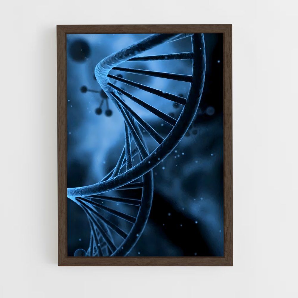 ap-dna double helix-2 cadre Bois foncé
