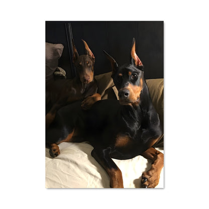 Poster Doberman pinscher 84964