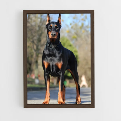 ap-doberman pinscher-2 cadre Bois foncé