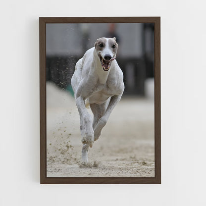 ap-dog racing-1 cadre Bois foncé