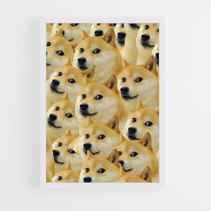 ap-doge-1 cadre Blanc