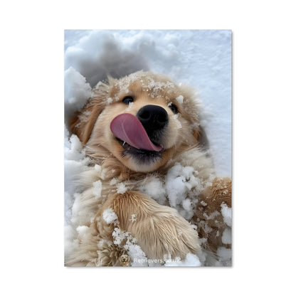 Poster Neige de Chien