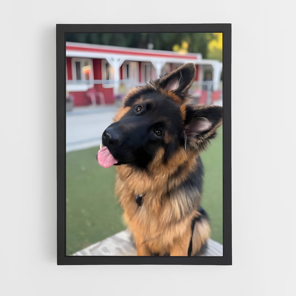 ap-dogs-4 cadre Noir