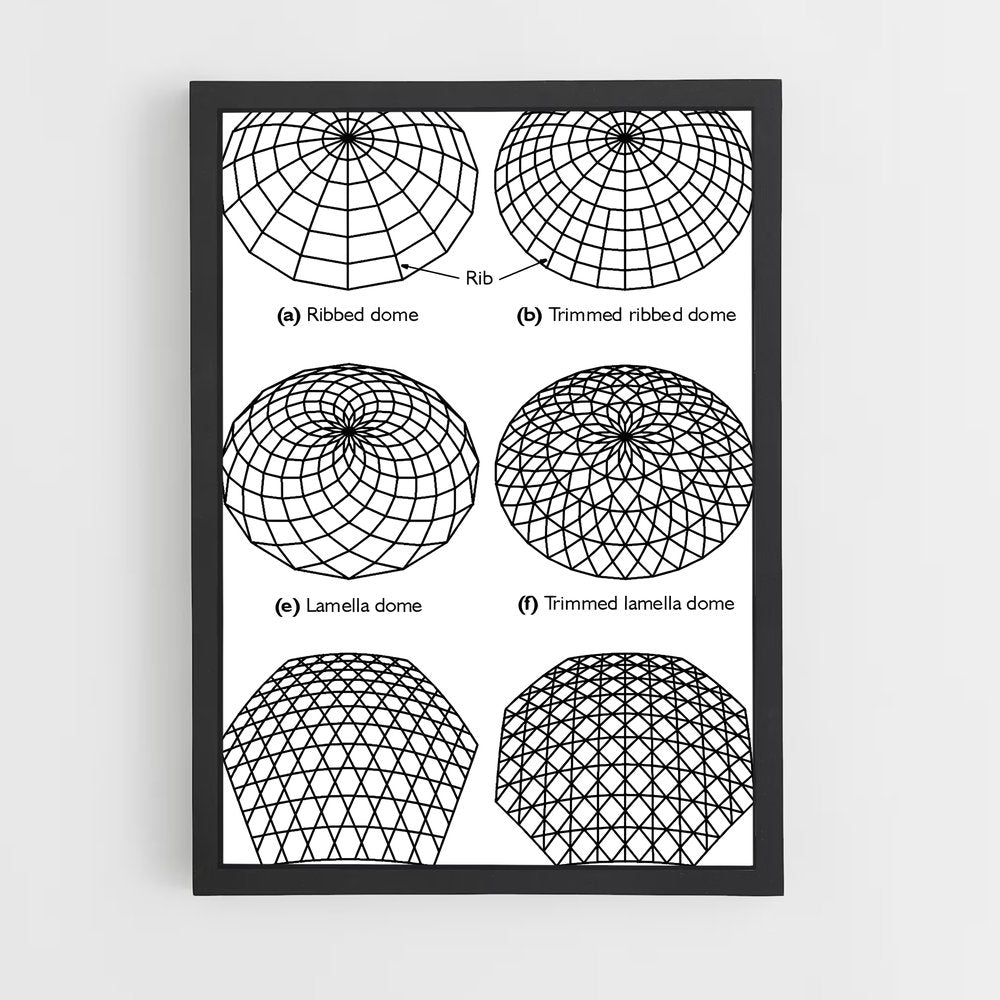 ap-domes-2 cadre Noir