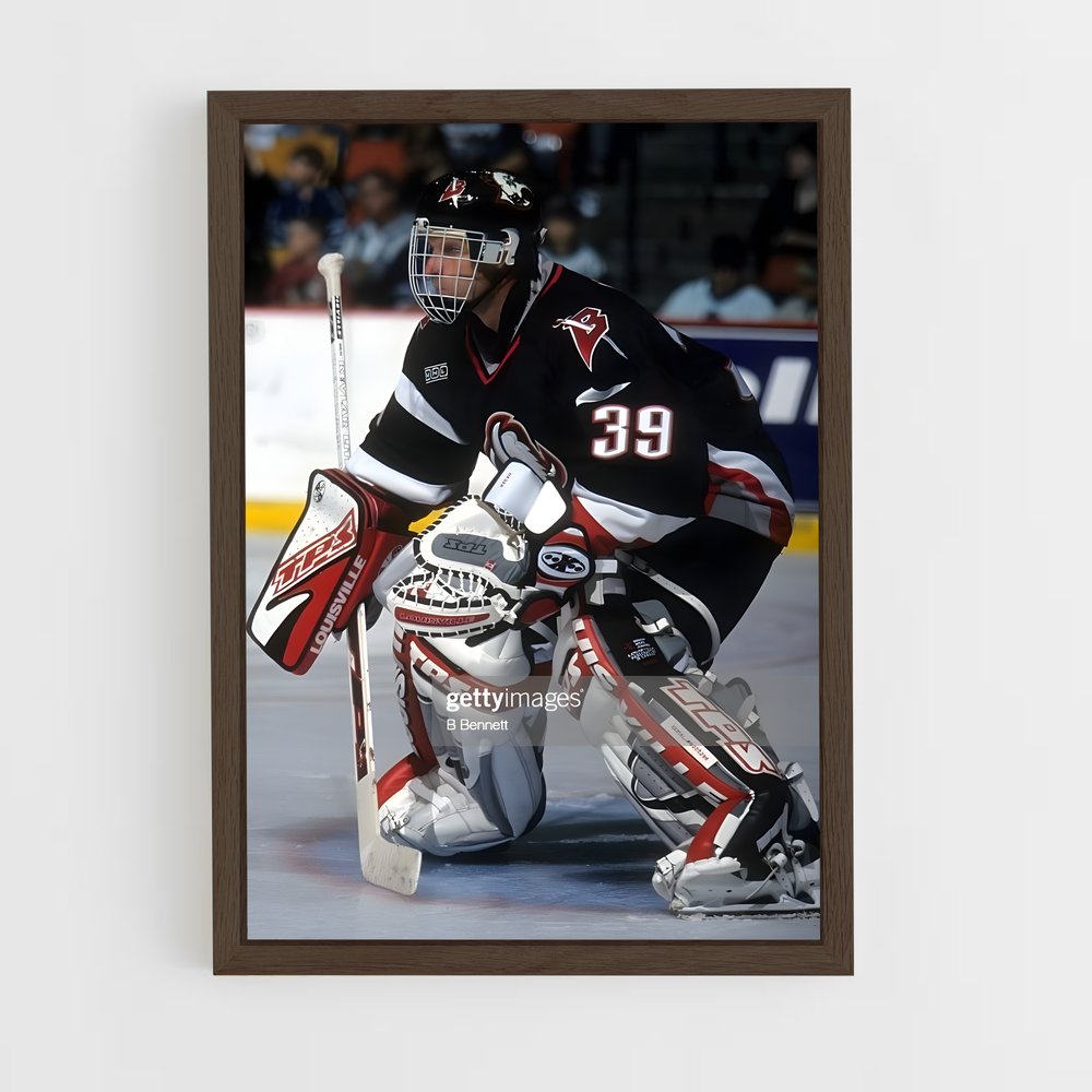 ap-dominik hasek-10 cadre Bois foncé