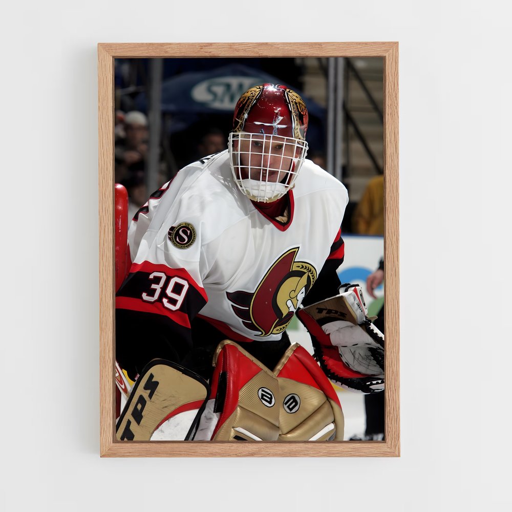 ap-dominik hasek-11 cadre Bois clair