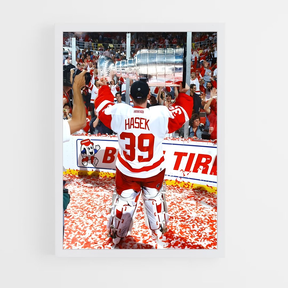 ap-dominik hasek-3 cadre Blanc