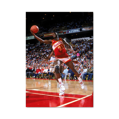 Poster Dominique wilkins 59275