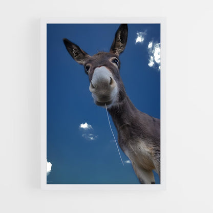 ap-donkey-15 cadre Blanc
