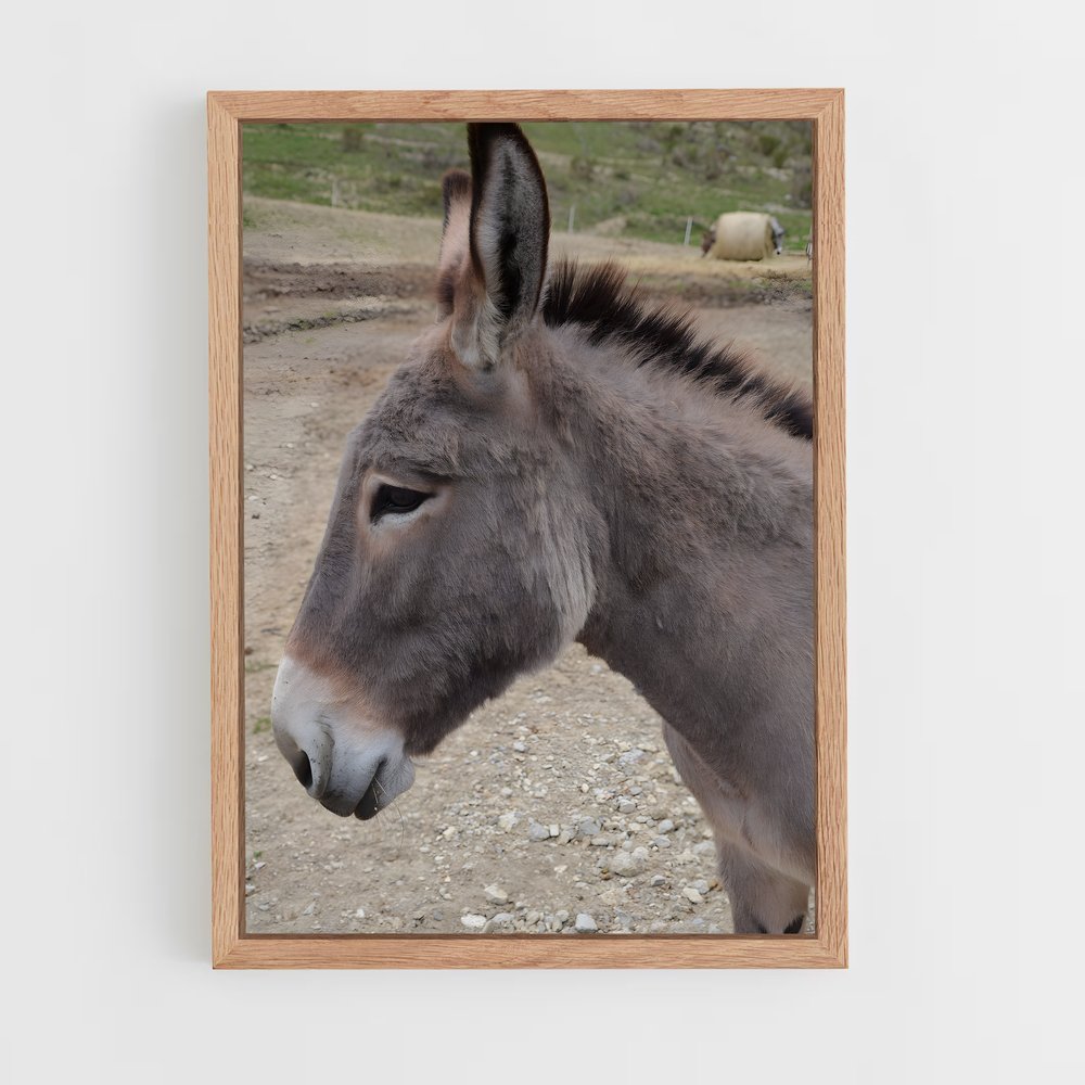 ap-donkey-9 cadre Bois clair