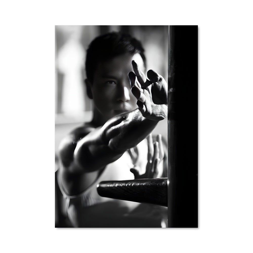Poster Donnie yen 6444