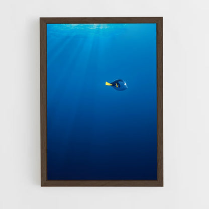 ap-dory-8 cadre Bois foncé
