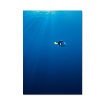 Poster Nage Libre