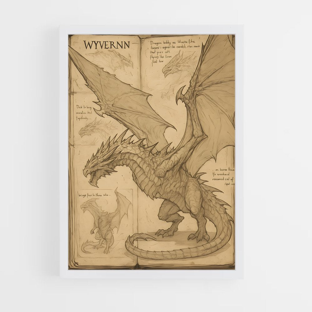 ap-dragon-12 cadre Blanc