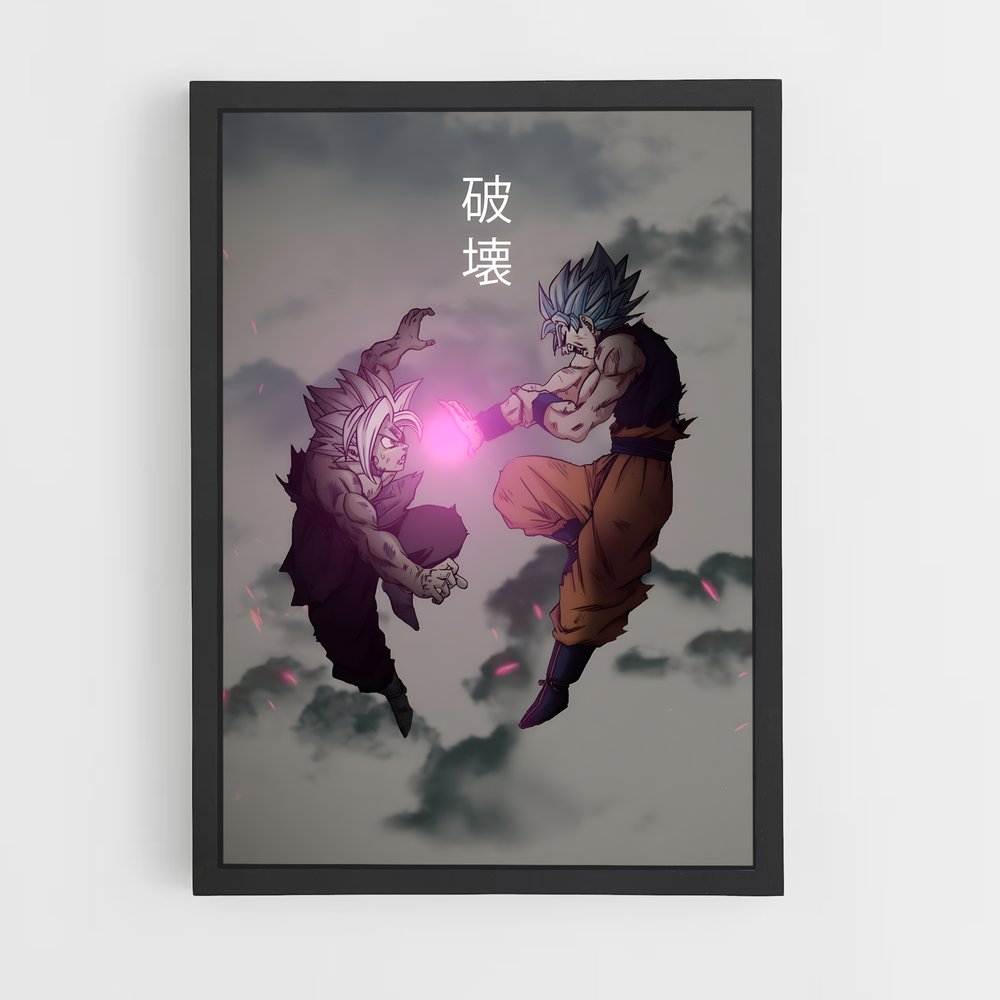 ap-dragon ball-13 cadre Noir