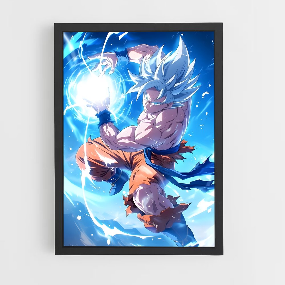 ap-dragon ball-4 cadre Noir