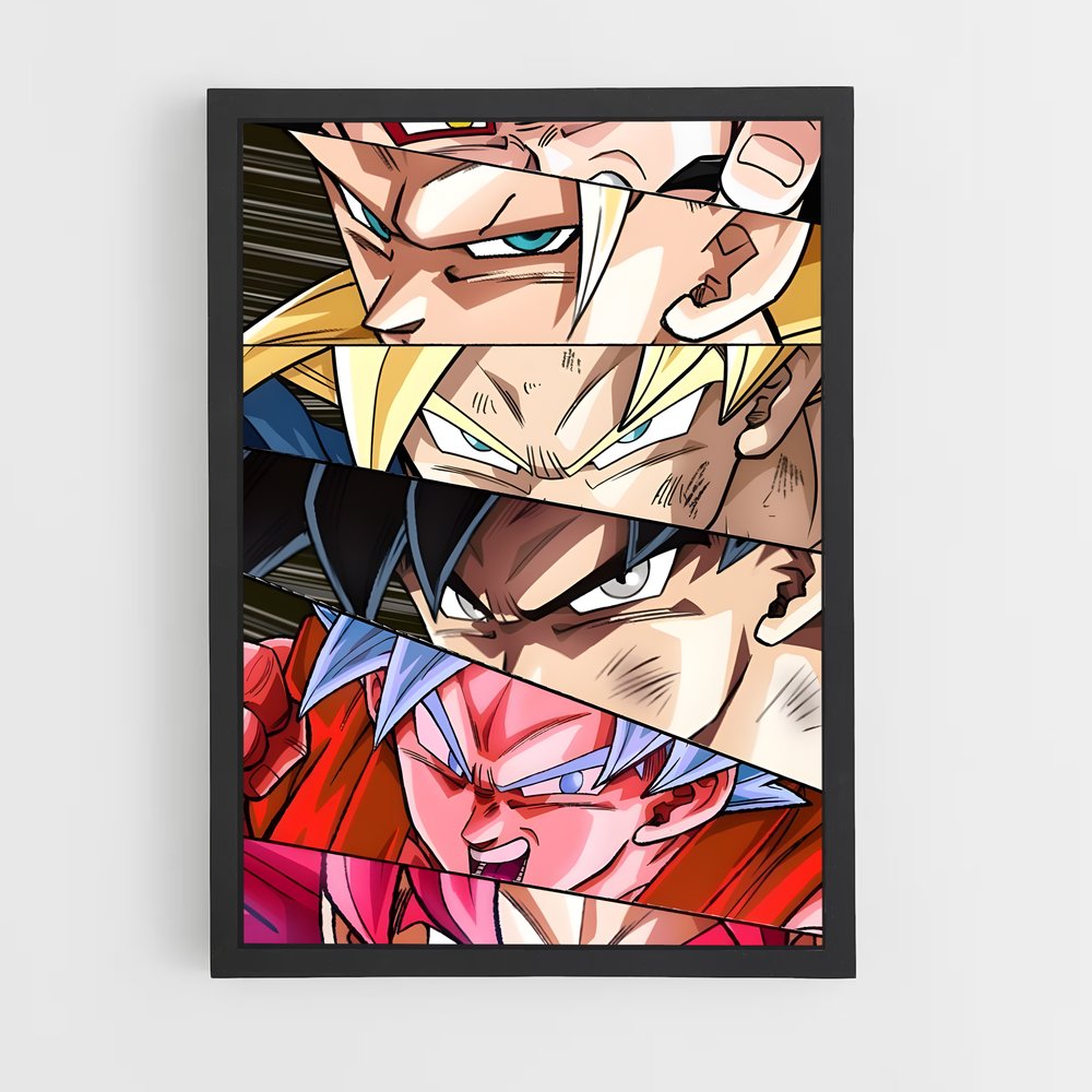 ap-dragon ball-6 cadre Noir