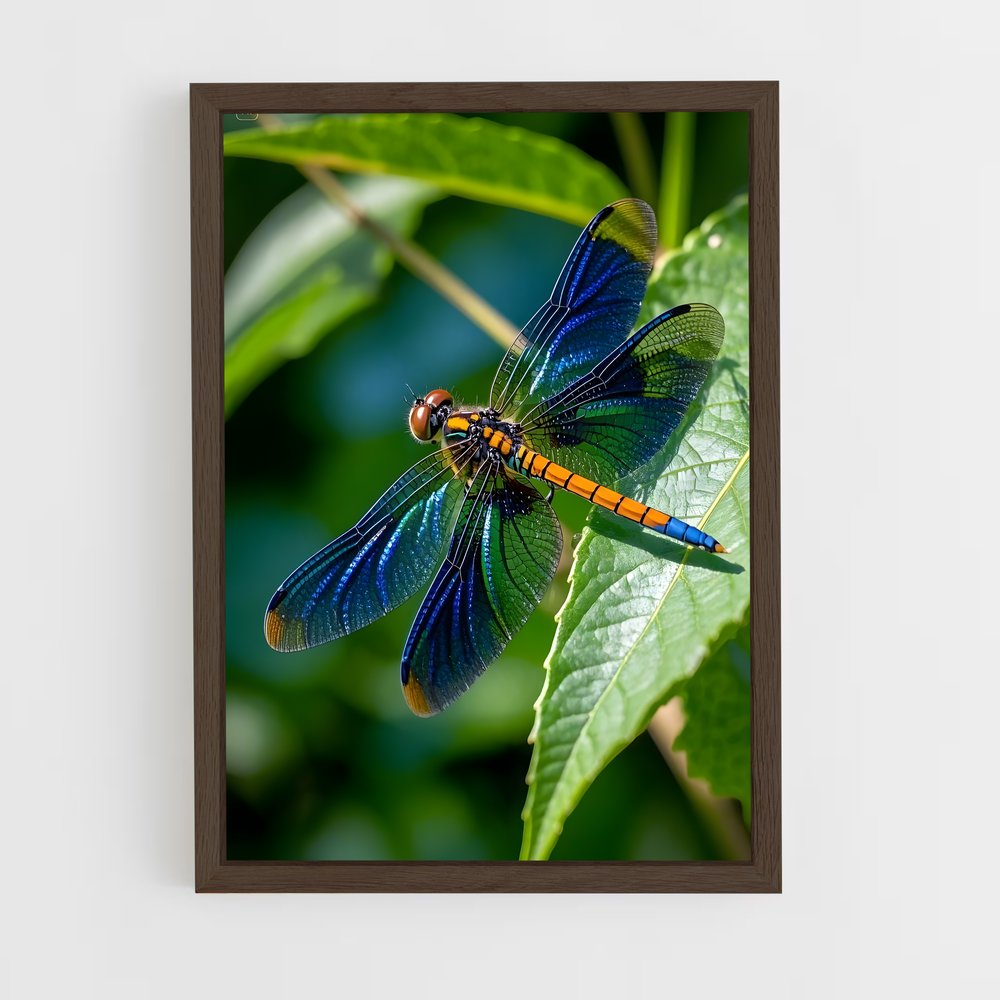 ap-dragonfly-11 cadre Bois foncé