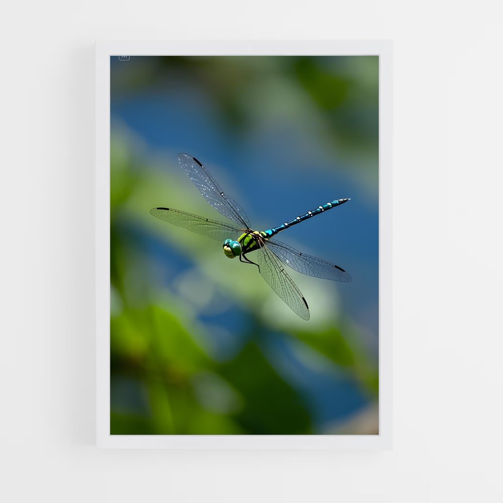 ap-dragonfly-8 cadre Blanc