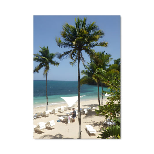 Poster Dunn's river falls 92948