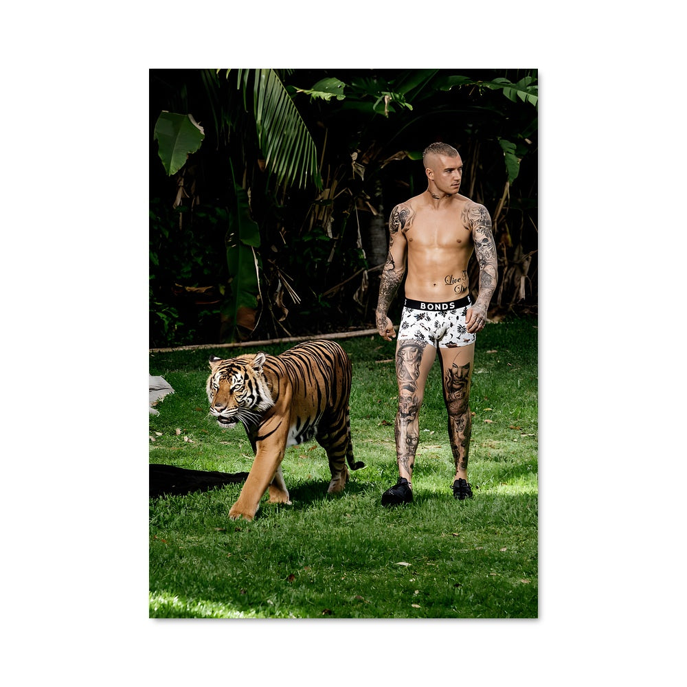 Poster Tiger & Ink