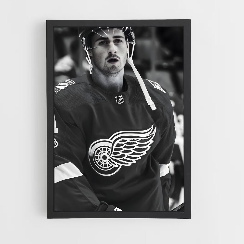 ap-dylan larkin-7 cadre Noir