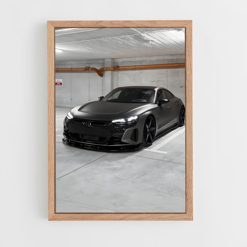 ap-e-tron gt-6 cadre Bois clair