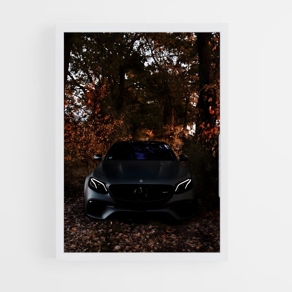 ap-e63 amg-1 cadre Blanc