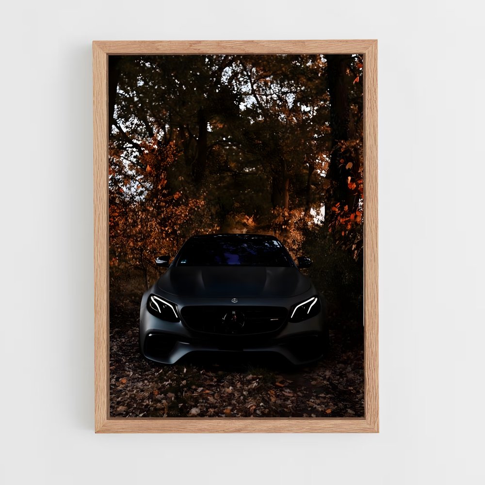 ap-e63 amg-1 cadre Bois clair