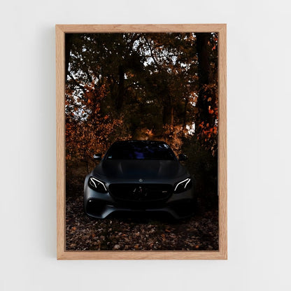 ap-e63 amg-1 cadre Bois clair
