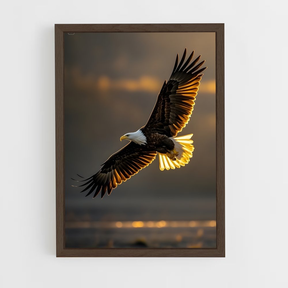 ap-eagle-10 cadre Bois foncé