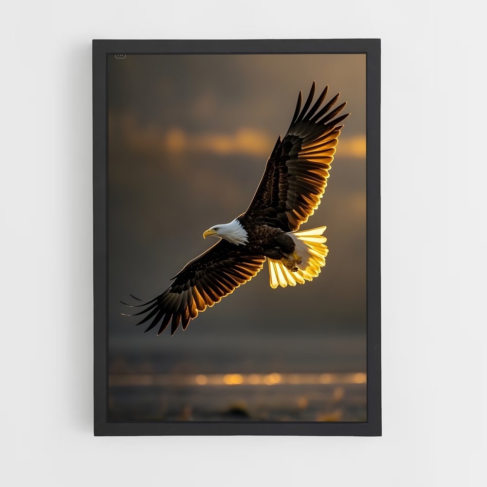 ap-eagle-10 cadre Noir