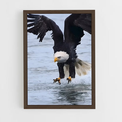 ap-eagle-3 cadre Bois foncé